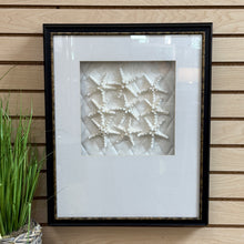 Load image into Gallery viewer, Paragon Starfish Shadowbox II
