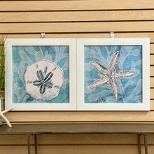 Load image into Gallery viewer, SM Aqua Sand Dollar
