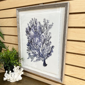 Framed Blue Sea Fan