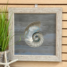Load image into Gallery viewer, Blue/Grey Nautilus I
