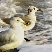 Load image into Gallery viewer, Rebecca Gurganus 'Stepping Out' Photography
