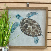 Load image into Gallery viewer, Turtle I Art
