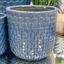 Load image into Gallery viewer, MED Embossed Blue Planter
