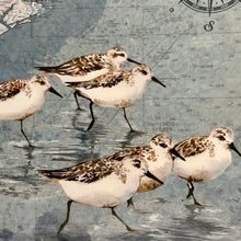 Load image into Gallery viewer, Sandpipers NC Coast Map
