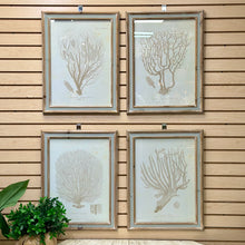Load image into Gallery viewer, Beige Coral Art II
