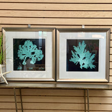Load image into Gallery viewer, Blue Coral Art II
