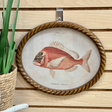 Load image into Gallery viewer, Oval Fish Print V Art
