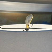 Load image into Gallery viewer, Gabby &#39;Gianna&#39; Lamp
