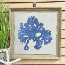 Load image into Gallery viewer, Framed Blue Coral III
