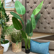 Load image into Gallery viewer, Faux Palm Plant
