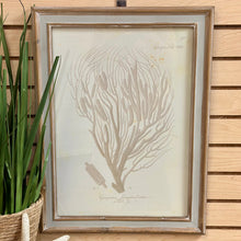 Load image into Gallery viewer, Seafan IV Art
