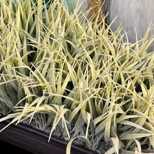 Load image into Gallery viewer, LG Faux Grass Planter
