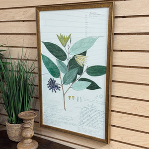 Gold Framed Botanical II