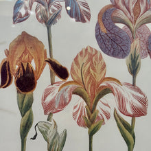 Load image into Gallery viewer, Gold Framed Irises I
