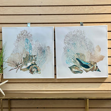 Load image into Gallery viewer, Colored Seashell I Canvas Art
