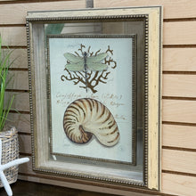 Load image into Gallery viewer, Framed Shell/Dragonfly Art
