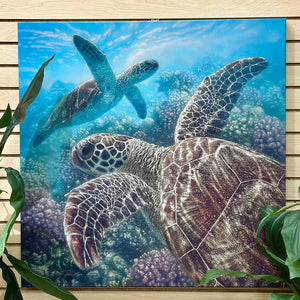 Underwater Sea Turtles