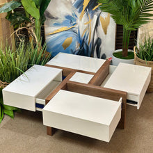 Load image into Gallery viewer, Modern Storage Coffee Table

