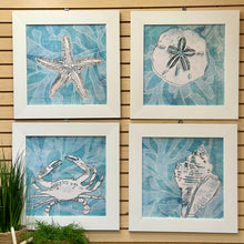 Load image into Gallery viewer, White Framed Aqua Shell

