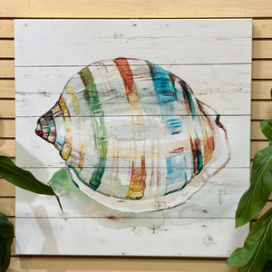 Colorful Shell Canvas I