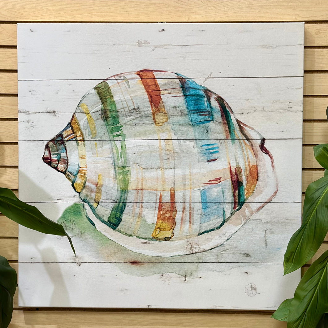 Colorful Shell Canvas I