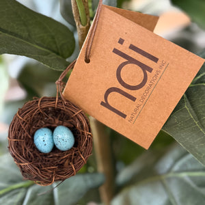 NDI Fiddle Leaf Tree