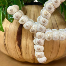 Load image into Gallery viewer, Fish Shell Ornament
