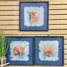 Load image into Gallery viewer, Blue Framed Shell II
