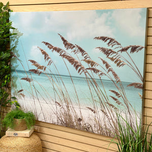 Sea Oats In The Wind Canvas