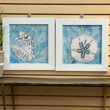 Load image into Gallery viewer, SM Blue Conch
