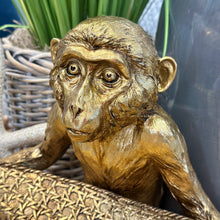 Load image into Gallery viewer, Gold Monkey Tray
