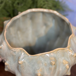 Aqua/Green Cactus Planter