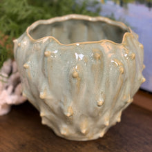 Load image into Gallery viewer, Aqua/Green Cactus Planter
