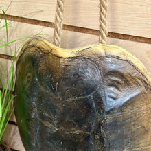 Load image into Gallery viewer, Turtle Shell Decor
