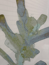 Load image into Gallery viewer, Watercolor Seaweed I
