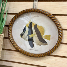 Load image into Gallery viewer, Oval Fish Print VI Art

