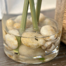 Load image into Gallery viewer, Uttermost &#39;Ibero&#39; Split Leaf Palm
