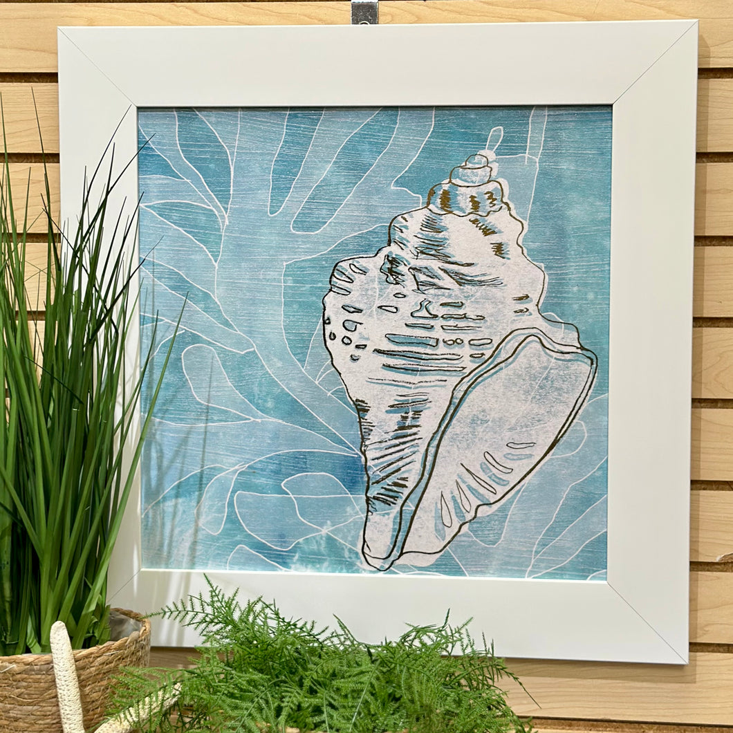 White Framed Aqua Shell