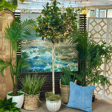 Load image into Gallery viewer, Faux Ficus W/Lights
