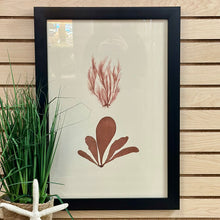 Load image into Gallery viewer, Botanical Print III Art
