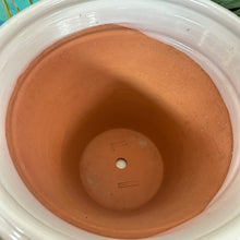 Load image into Gallery viewer, Ivory Planter
