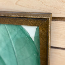 Load image into Gallery viewer, Gold Framed Botanical I
