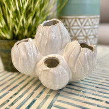 Load image into Gallery viewer, White Barnacle Decor
