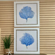 Load image into Gallery viewer, Blue Seafan II
