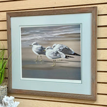Load image into Gallery viewer, Demise Nelson Seagull Art
