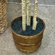 Load image into Gallery viewer, Tall Aloe Plant
