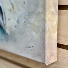 Load image into Gallery viewer, Shell Assortment II Canvas Art
