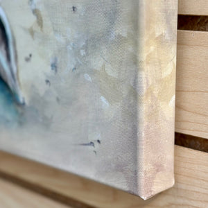 Shell Assortment II Canvas Art