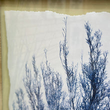 Load image into Gallery viewer, Framed Blue Coral IV
