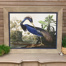 Load image into Gallery viewer, 'Louisiana Heron' Giclee
